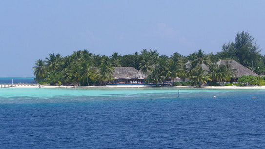 malediven-vilamendhoo-tauchen-07