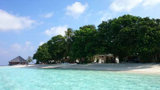 malediven-vilamendhoo-tauchen-21