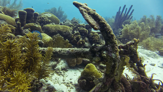 bonaire-anker-small-wall