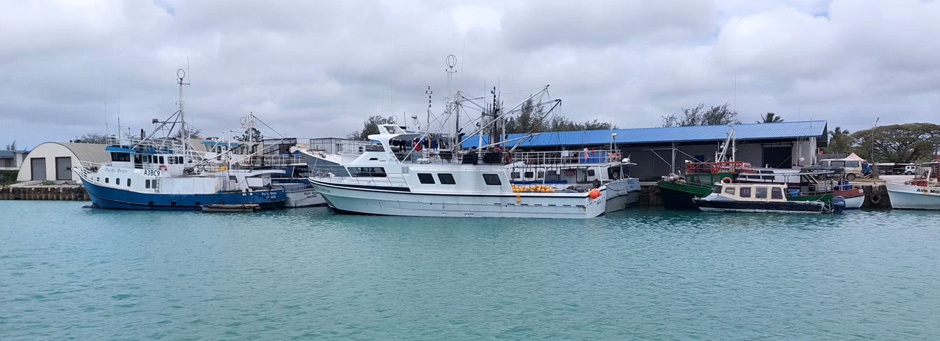 Der verlorene Tag - Niue nach Tonga