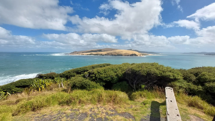 Von Giganten und Massen in Neuseeland