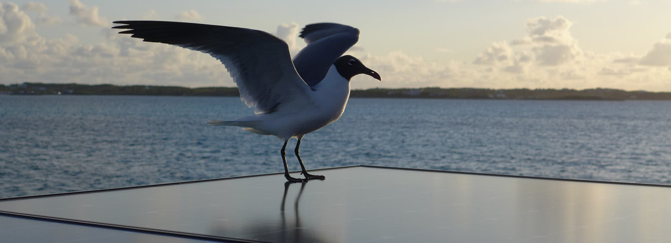 George Town nach Clarence Town - Bahamas