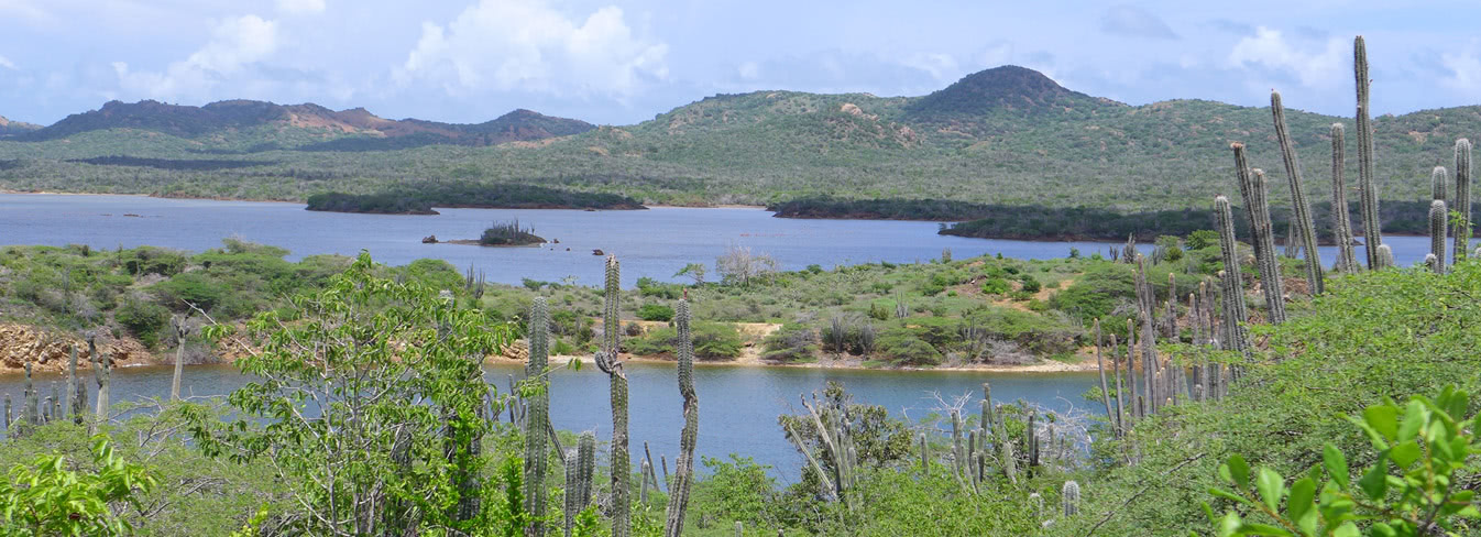 Bonaire’s wilder Norden