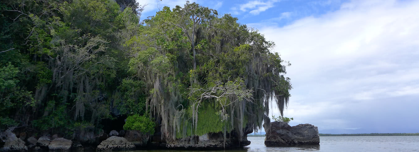 Jurassic Park - Los Haitises