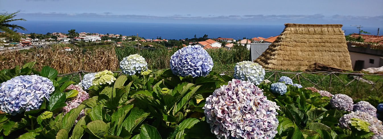 Madeira – Kanarische Inseln auf der Bajka