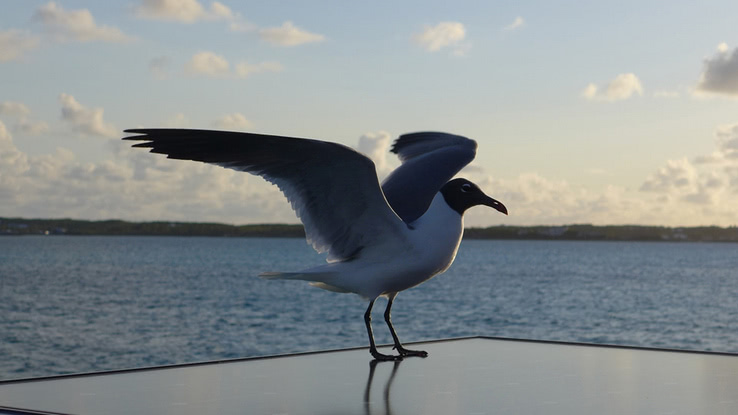 George Town nach Clarence Town - Bahamas