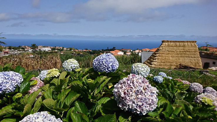 Madeira – Kanarische Inseln auf der Bajka